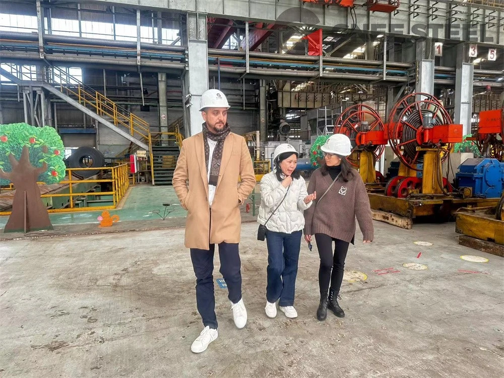 301L Stainless Steel Tube 301L Stainless Steel Tube